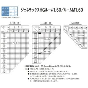 ジェネラックスHG1.60 HOYA ホヤ 遠...の詳細画像3