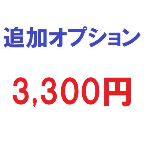 追加オプション3300円