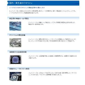 コンタクトレンズ ワンデー シード ワンデーピ...の詳細画像2