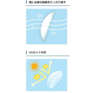 コンタクトレンズ ワンデー シード ワンデーピ...の詳細画像3