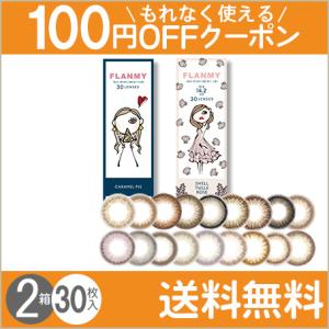 FLANMY 30枚入×2箱 / 送料無料 / メール便｜lens-uno