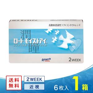 エピカ スマートクリーン 300ml 1本 メニコン コンタクト洗浄液 ケア