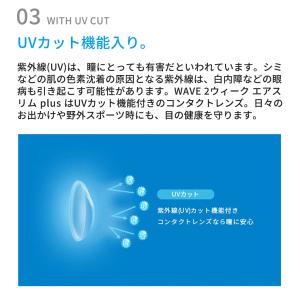 コンタクト 2WEEK【2WEEK 6枚2箱】...の詳細画像3