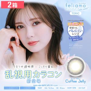 【2箱】フェリアモ ワンデー トーリック 10枚...の商品画像