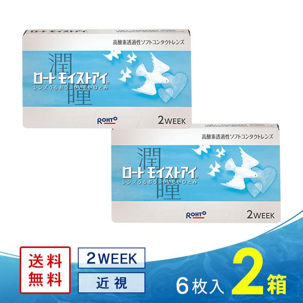 ロート モイストアイ 2箱 送料無料 ソフトコンタクトレンズ コンタクトレンズ 2WEEK