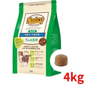 AZ（アゼット） プロフェッショナル プレミアムドッグフード 10Kg