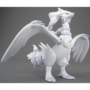 ポケモン ボードゲームの商品一覧 通販 Yahoo ショッピング