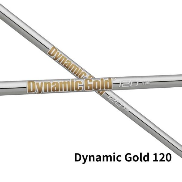 トゥルーテンパー ダイナミックゴールド120 TRUE TEMPER DG120