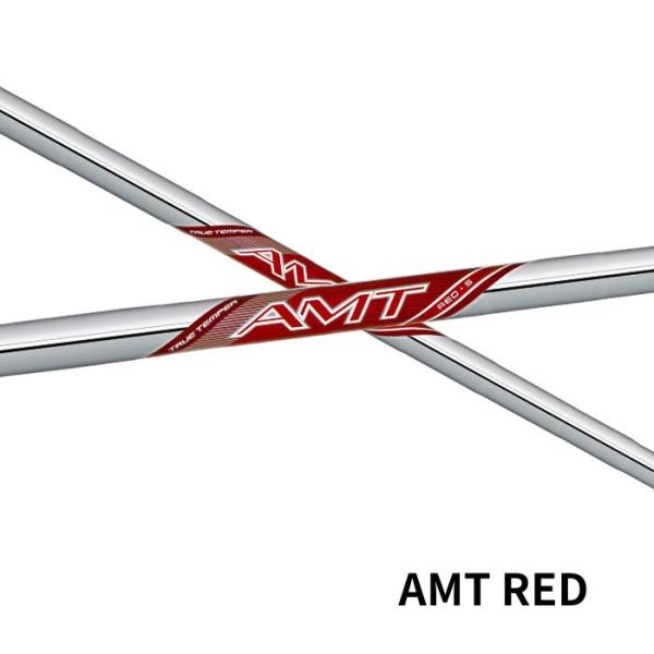 トゥルーテンパー AMT RED (NEW)