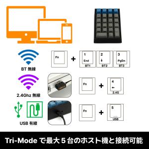 LEOPOLD FC220TP PD ASHW...の詳細画像3