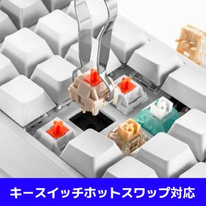 LEOPOLD FC220TP PD ASHW...の詳細画像5