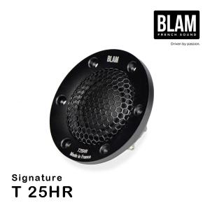 BLAM ブラム T 25HR スピーカー ペア