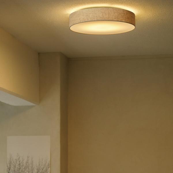 テキサス シーリングライト