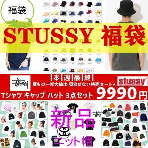 STUSSY パーカー プルオーバー Tシャツ TEEシャツ 半袖