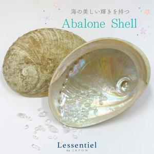 サファイア アバロンシェル 】両面ポリッシュ エメラルド グリーン