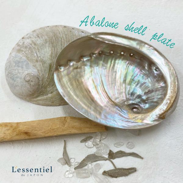 【 アバロンシェル  】 アイボリー プレート ミラー 天然 貝殻 あわび スマッジング 浄化 瞑想...