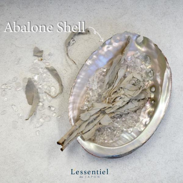 【 アバロンシェル 】 天然 自然 貝殻 皿 スマッジング 浄化 お清め 瞑想  ホワイト セージ ...