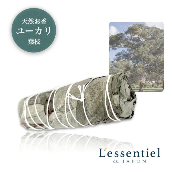 天然【 ユーカリ 】お香 葉 枝 グロブロス お清め 浄化 ヨガ 瞑想 インテリア 麻布 銀座 お洒...