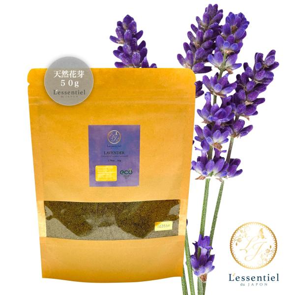 粉末【 フランス産 ラベンダー パウダー 】50g 天然 抹香 イングリッシュ 睡眠 脳活 お香 癒...