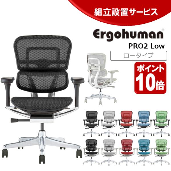 在庫限り エルゴヒューマン プロ２ 新基盤 ロータイプ EHP2-LAM-DR ergohuman ...