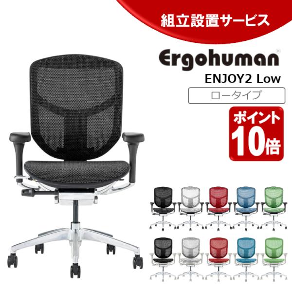 エルゴヒューマン エンジョイ２ ロータイプ EJ2-LAM ergohuman enjoy2 一部地...