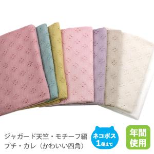 ジャガード天竺・モチーフ編レースニット生地／プチ・カレ（かわいい四角）【50ｃｍ単位販売】