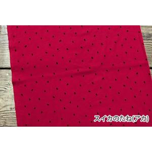 スムースニット生地105cm巾/スイカとメロン...の詳細画像1