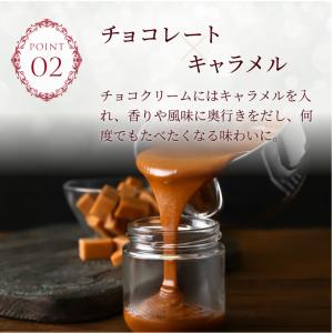 爆買 【送料込】 クリスマスケーキ 2026 ...の詳細画像4