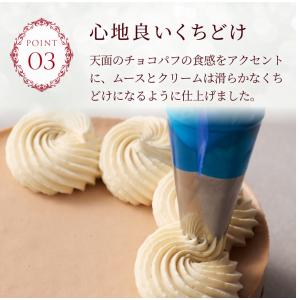 爆買 【送料込】 クリスマスケーキ 2026 ...の詳細画像5