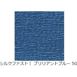 ローパスシルクファストカラー｜ ブリリアントブルー 5G 30g入り