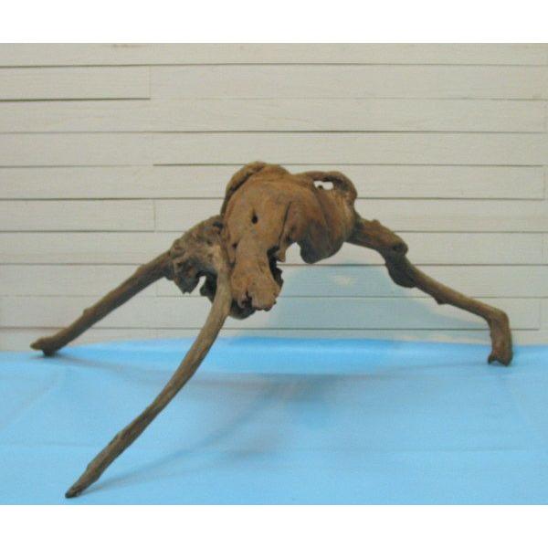 大型変形流木根 h193 ディスプレイ用 アクアリュウム用 ガーデニング園芸材 撮影用 爬虫類用流木...