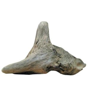 変形流木 i418 国産流木素材 DIY資材 工作用素材 ディスプレイ用素材 ガーデニング用資材