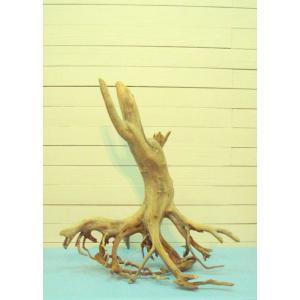 枝付き流木根　何かに見えそうな流木素材　j17　国産流木素材　インテリア店舗用オブジェ　アクアリュウ...