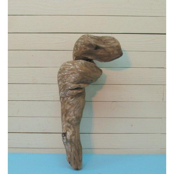 何かに見えそうな流木素材 j37 インテリア店舗ディスプレイ園芸撮影用アクアリュウム爬虫類用流木素材