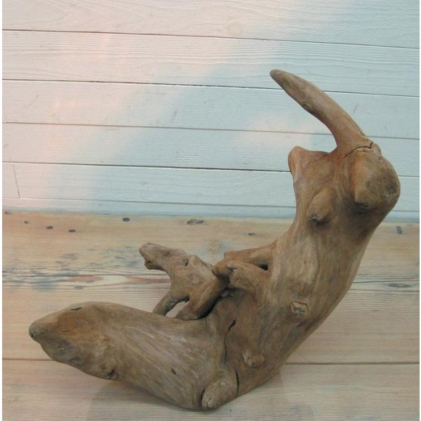 変形流木　何かに見えそうな流木素材　j43　国産流木素材　インテリア店舗ディスプレイオブジェ　アクア...