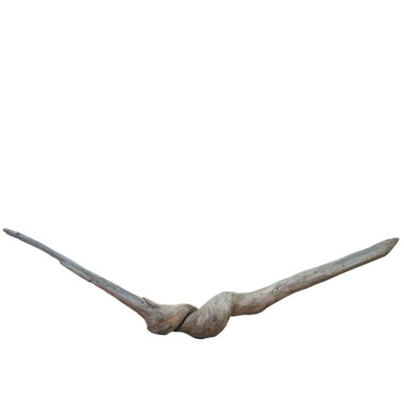 何かに見えそうな流木素材 j49 インテリア店舗ディスプレイ園芸華材撮影用やペットの爬虫類用流木素材