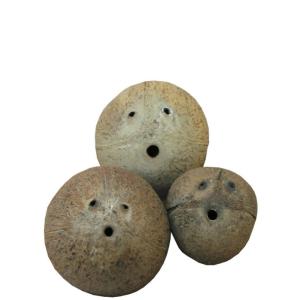 ヤシの実３個セット　何かに見えそうな流木素材　j50　国産流木素材　インテリア店舗ディスプレイオブジ...