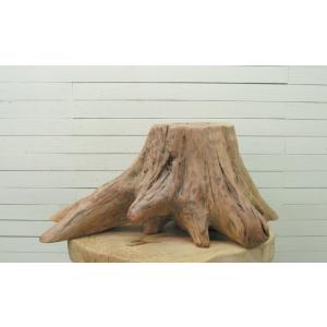 ディスプレイ用大型流木切り株台座　ja102  流木アートのレットイットビーのオリジナル流木インテリ...