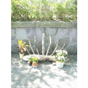 流木アートオブジェ 庭 ガーデニング の商品一覧 Diy 工具 通販 Yahoo ショッピング