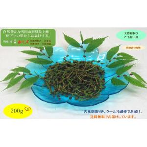 秋のおつな味...山形県最上峡舟下りの里〜新鮮天然朝取りご予約山菜 赤ミズ [ ミズの実・ミズタマ・...