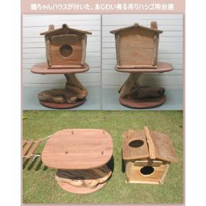 新作超大型オリジナル流木キャットタワー pk50の詳細画像5
