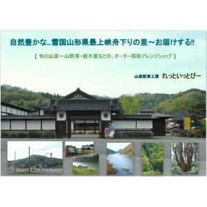 まだまだ食べ頃が続く...山形県最上峡舟下りの...の詳細画像4