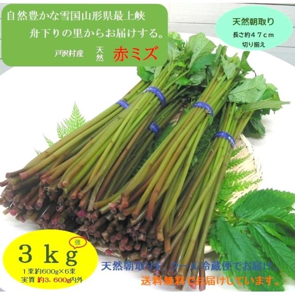 まだまだ食べ頃が続く...山形県最上峡舟下りの里〜新鮮天然朝取りご予約山菜 [ 赤ミズ3ｋｇ強 ] ...