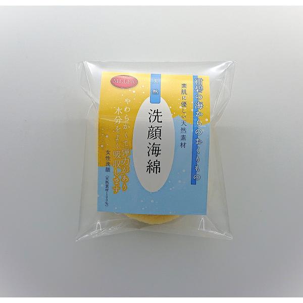 天然海綿　洗顔用