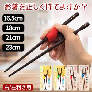 ちゃんと箸 子供用 きちんと箸 大人用 箸 お箸 食器 矯正箸