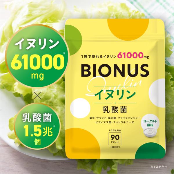 イヌリン 61,000mg 乳酸菌入り ヨーグルト風味 タブレット 1日3粒 90粒 30日分 菊芋...