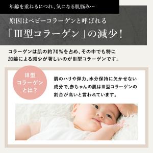 卵殻膜 美容液 セルニス 単品 30ml 導入...の詳細画像4
