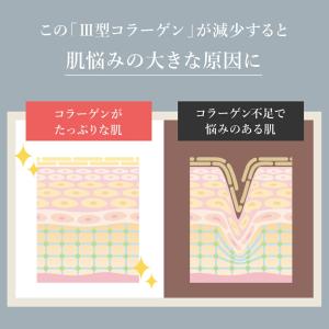 卵殻膜 美容液 セルニス 単品 30ml 導入...の詳細画像5