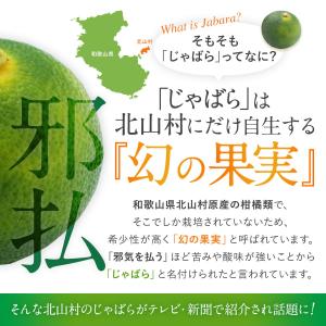 じゃばら サプリ めはな乳酸菌R配合 60粒 ...の詳細画像4