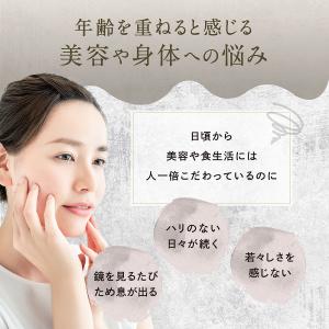 NMN サプリ 4800mg 日本製 成分量分...の詳細画像4